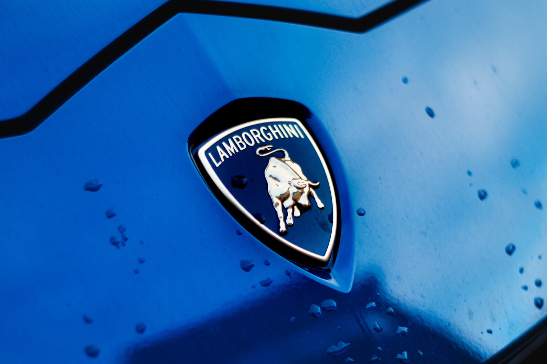 Lamborghini logo on a car Stock Photo - Alamy