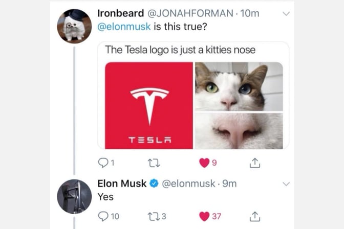 tesla-logo-cat